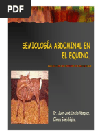 17 - Semiología Abdominal en El Equino