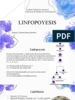 Linfopoyesis y Órganos Linfoides