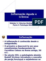 3 Modulo 5 Pat Inflamacao Aguda e Crónica