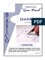 Algebra Basico Completo