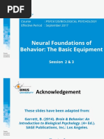 Neural Foundations of Behavior: The Basic Equipment