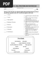 Section 1.3 & 1.6 - Cell Structures and Functions Quiz