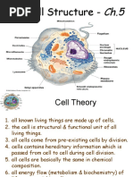 Cell Structure