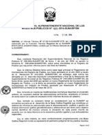 Directiva Nº03 2014 Sunarp SN