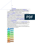 Clasificación Biológica