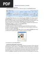 Elemente de Formatare A Textului