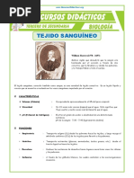 El Tejido Sanguíneo para Tercero de Secundaria