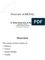 Overview of RENAL: Dr. Wilson Arthur Zein, M. Biomed