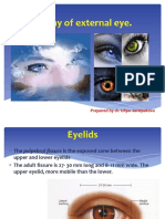 Anatomy of External Eye