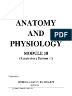 Module 18 Respiratory Final