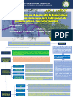 MAPA CONCEPTUAL - Avances Recientes en El Desarrollo de Biosensores Basados en Nanotecnología para La Detección de Arsénico, Plomo, Mercurio y Cadmio