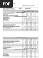 Cronograma de Actividades Ejemplo