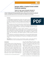 Plant Functional Groups Within A Tropical Forest Exhibit Different Wood Functional Anatomy