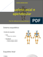 Aula 03 - Esqueleto Axial e Apendicular