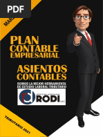 Plan Contable Empresarial-Asientos Contables