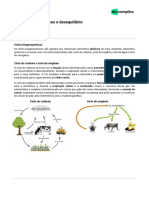 aquecimento-biologia-Ecologia-Ciclos Biogeoquímicos e Desequilíbrio-22-11-2021