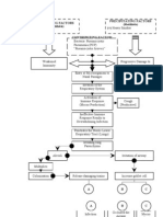 Pneumonia Parient Based