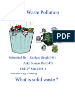 Solid Waste Pollution