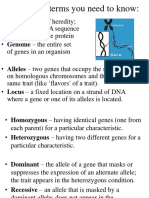 Problem Solving Review On Mendelian Genetics