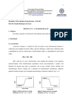 Experimento 1 - Calor de Reação