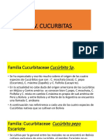 IV Cucurbitas Alimenticias