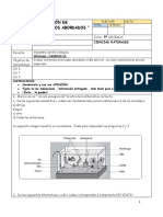 5 Evaluacion Diagnostica Ciencias