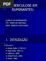 TUBERCULOSE EM RUMINANTES - MARCIO REISr