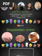 Integumentary System Reporting