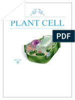 Plant Cell Biology