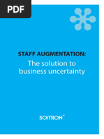 Staff Augmentation Whitepaper