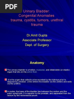 Congenital Anomalies of Urinary Bladder