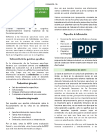 Transcripción TDL Modulo 5