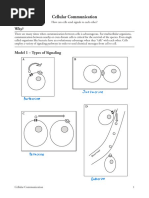 Cellular Communication POGIL