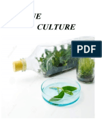 Plant Tissue Culture