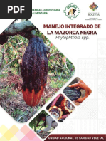 Manual Mazorca Negra