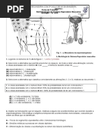 Ficha de Trabalho Reprodução 2