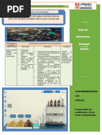 Semana 31 Contaminacion de Suelos Cloublab Gladys