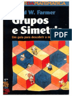 (O Prazer Da Matemática) David Farmer - Grupos e Simetria - Um Guia para A Descoberta Matemática. Único-Gradiva (1999)