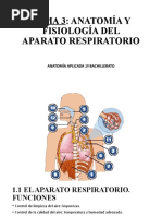 Presentación Del Aparato Respiratorio