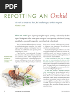 Repotting An: Orchid