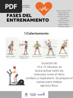 Fases Del Entrenamiento