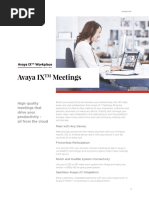 Avaya IX Meetings