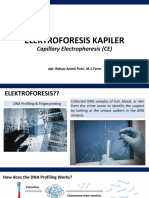 Capillary Electrophoresis