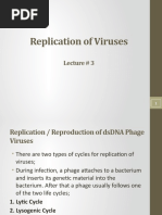 Lecture 3 Virology