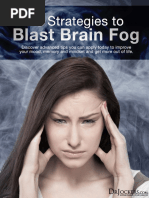 13 Strategies To Blast Brainfog Ebook