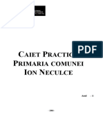 Caiet Practica - Primaria Comunei Ion Neculce