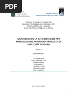 Informe de Avance I