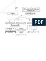 Pathway CMV