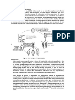 CICLO DE VIDA de Cales Noacki Howard PDF