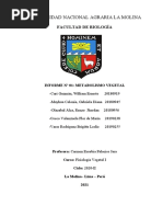 INFORME 1. Amilasa